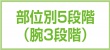 部位別5段階（腕3段階）